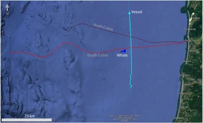 研究区域地图,显示了从俄勒冈海岸线延伸至太平洋的电缆、长须鲸鸣叫声位置和船只轨迹