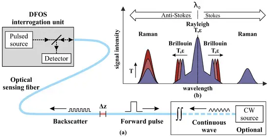 sensors-21-06098-g001.webp