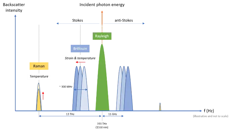DOFS_principle_PA5(1).webp
